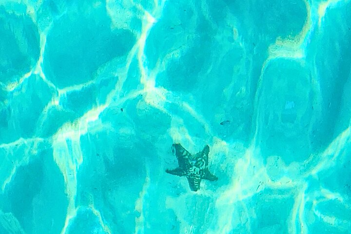 Private Boat Tour with Snorkeling, Island Hopping, and Noahs Ark