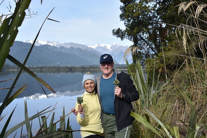 Cruise & Rainforest Walk - Franz Josef Glacier