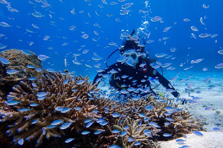 Okinawa: Scuba Diving Tour with Wagyu BBQ Lunch and English guide