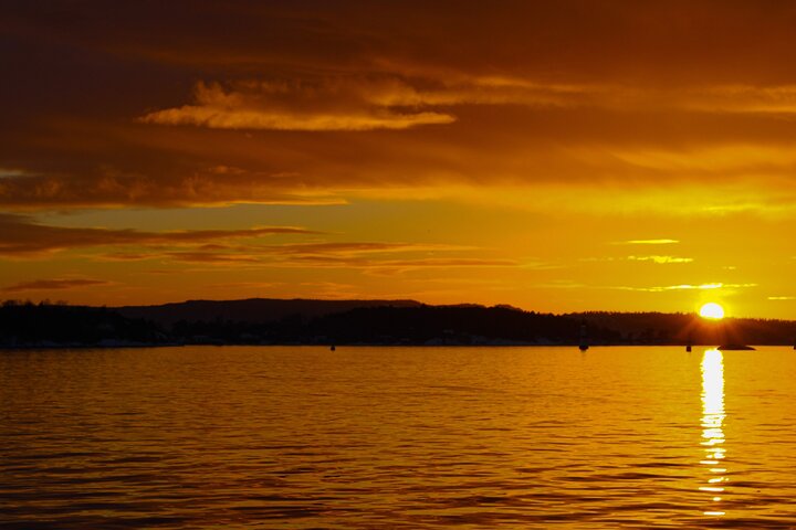Oslofjord Sightseeing