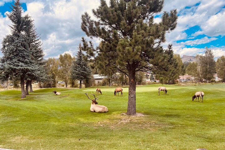 Estes Park Guided E-Bike Tour