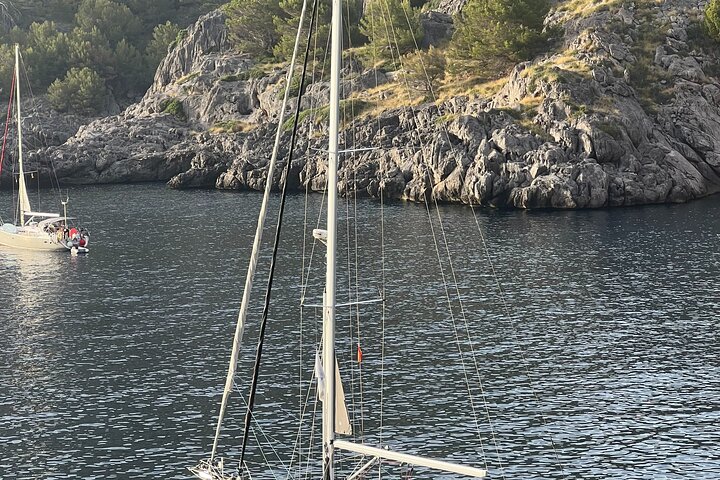 Full Day, Half Day, or Sunset Sailing Cruise with Tapas & Drinks