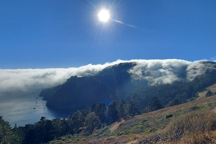 Muir Woods and Sausalito Small Group Tour