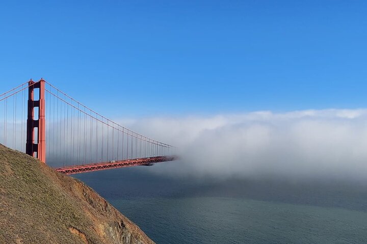 Muir Woods and Sausalito Small Group Tour