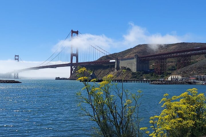 Muir Woods and Sausalito Small Group Tour