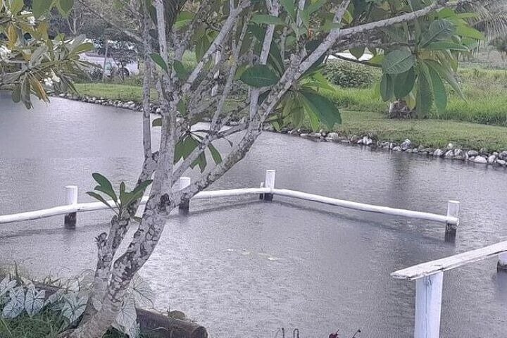 Discover Mud pool/Hot -Spring Nadi