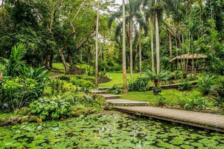 Discover Mud pool/Hot -Spring Nadi