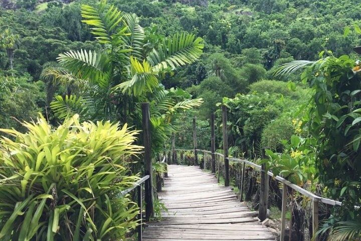 Discover Mud pool/Hot -Spring Nadi