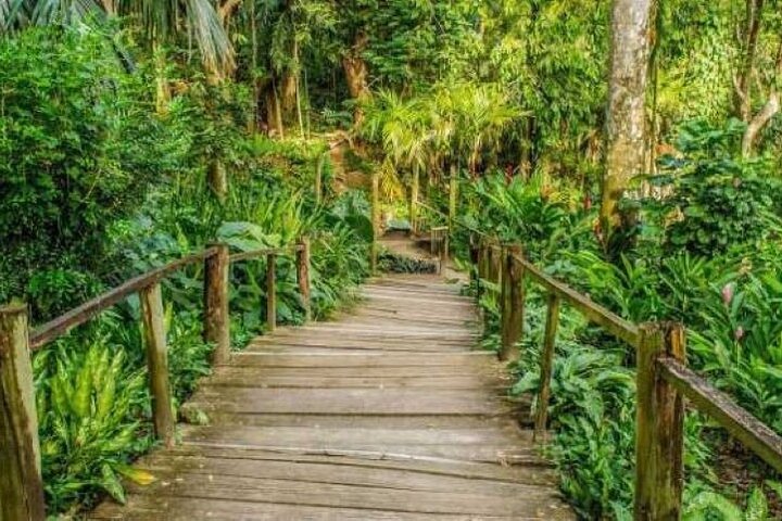 Discover Mud pool/Hot -Spring Nadi