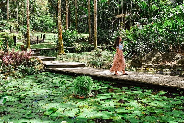 Discover Mud pool/Hot -Spring Nadi