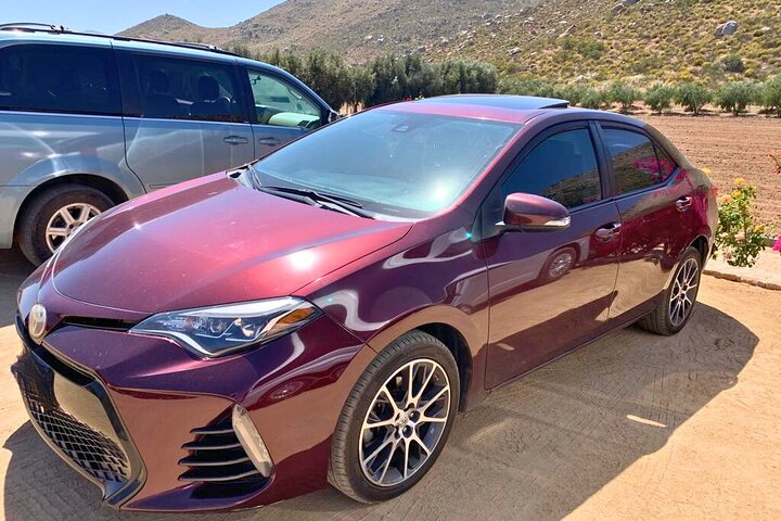 Private Transfer from Tijuana to Ensenada and Valle de Guadalupe