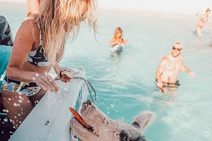 3 Islands Tour, Swim with Pigs, Turtles, Snorkelling & lunch