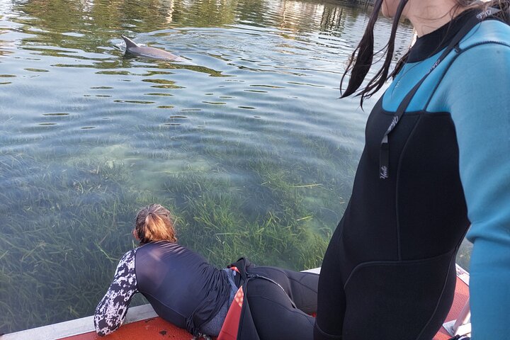 3 Hour Small Group All Inclusive Manatee Swim with free Photo pkg