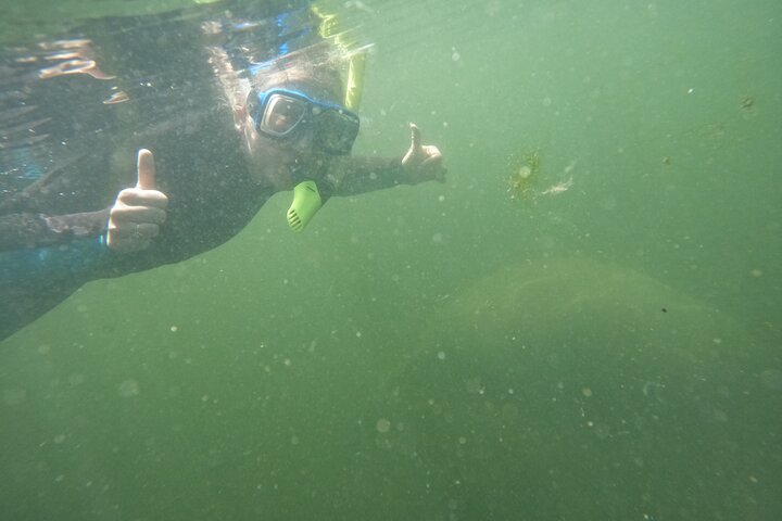 3 Hour Small Group All Inclusive Manatee Swim with free Photo pkg