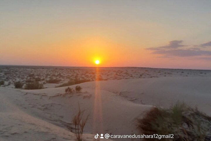 A Private Night at Desert Douz Tozeur