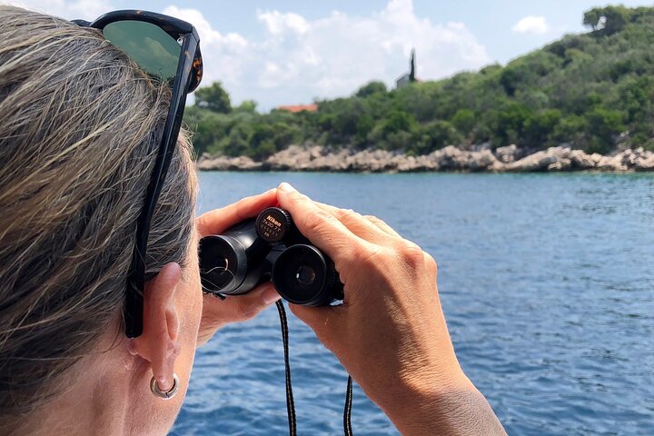 Boat discovery: private one-day Korčula adventure