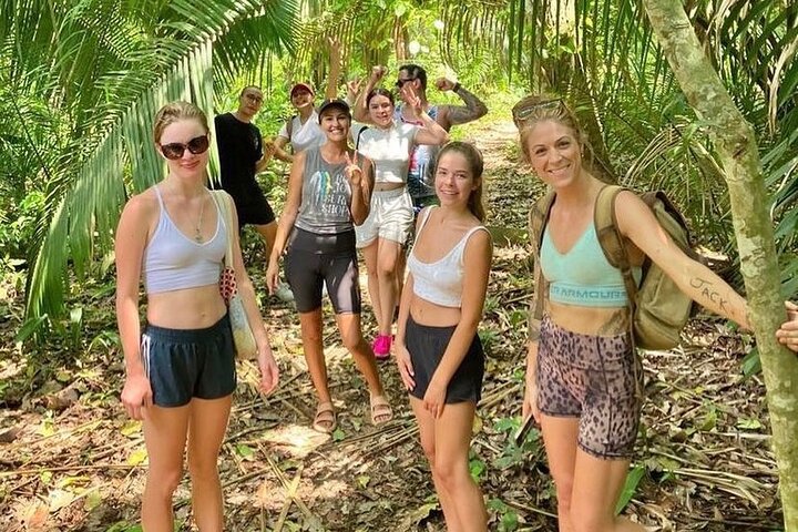 Hike and Yoga Jungle Experience in Mexico
