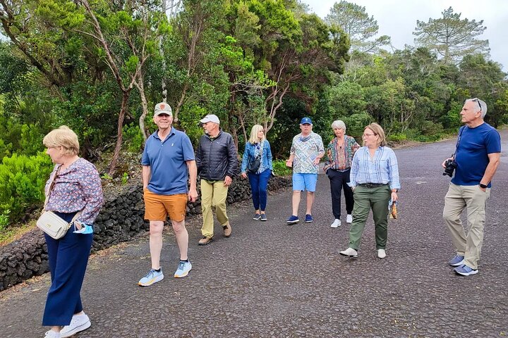 Horta, Faial: 1 Day Tour with Capelinhos, Caldeira and Local Guide