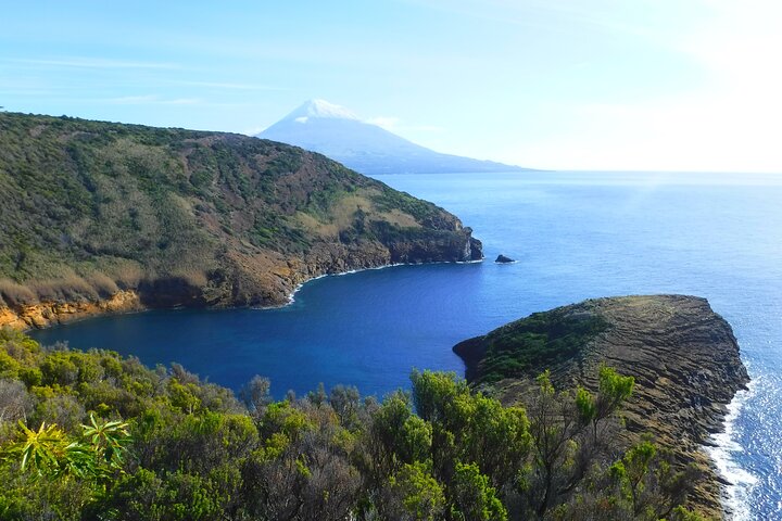 Horta, Faial: 1 Day Tour with Capelinhos, Caldeira and Local Guide