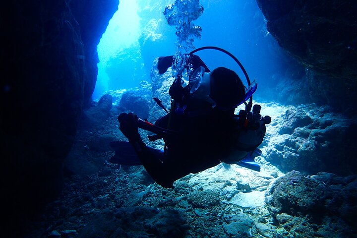 Okinawa Scuba Diving For Certified Divers (3 boat dives + Lunch)