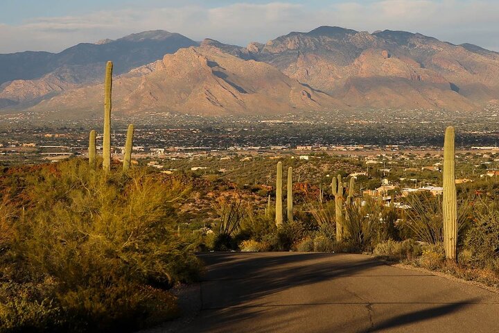 Mount Lemmon Self-Guided Driving Audio Tour