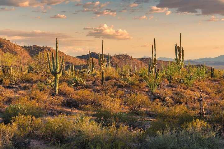 Mount Lemmon Self-Guided Driving Audio Tour