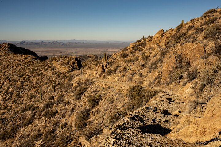 Saguaro National Park Self-Guided Driving Audio Tour