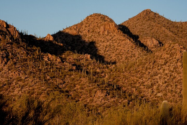 Saguaro National Park Self-Guided Driving Audio Tour