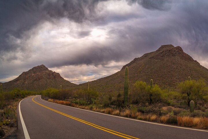 Saguaro National Park Self-Guided Driving Audio Tour