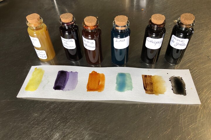 Private Introduction to plant color in Forcalquier in Provence