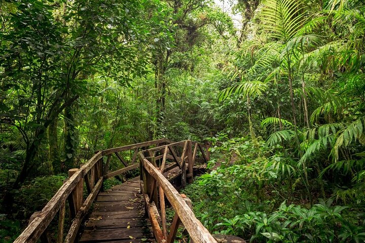 Mombacho Adventure Hiking Trails and Zipline Tour