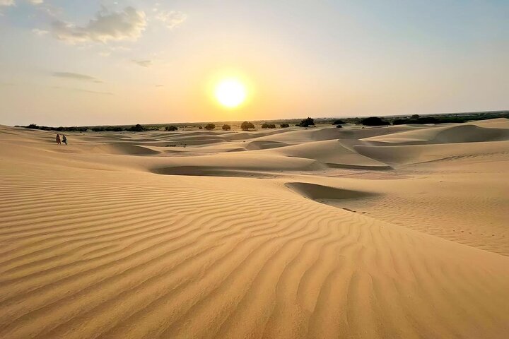Nomadic Non-Touristic Overnight Tour & camel Safari
