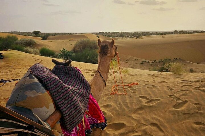 Nomadic Non-Touristic Overnight Tour & camel Safari