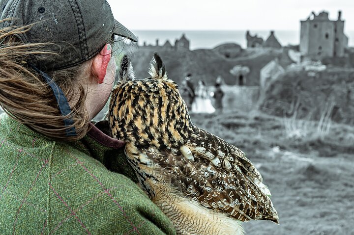 Private Tour - Edinburgh to St Andrews, Dunnottar Castle & Dundee