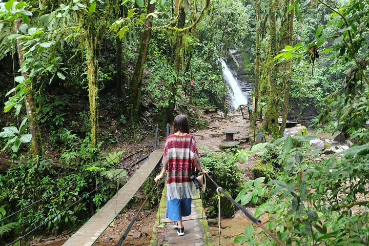 Salento, Cócora + Santa Rita Waterfall from Pereira or Armenia
