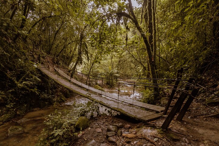 Salento, Cócora + Santa Rita Waterfall from Pereira or Armenia