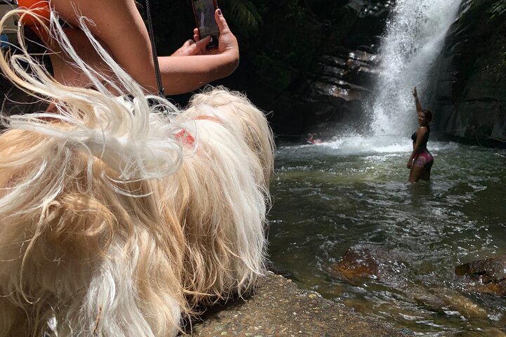 Salento, Cócora + Santa Rita Waterfall from Pereira or Armenia