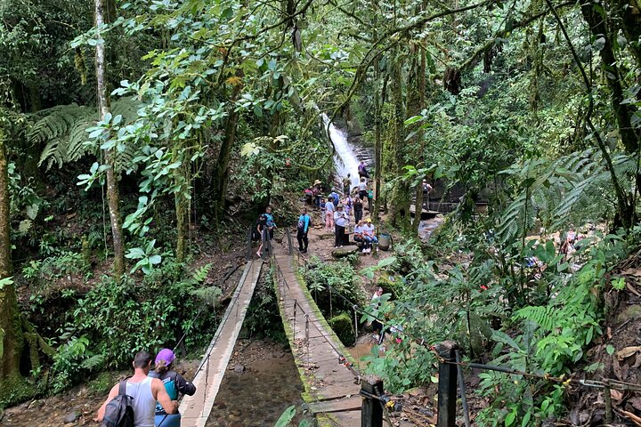 Salento, Cócora + Santa Rita Waterfall from Pereira or Armenia