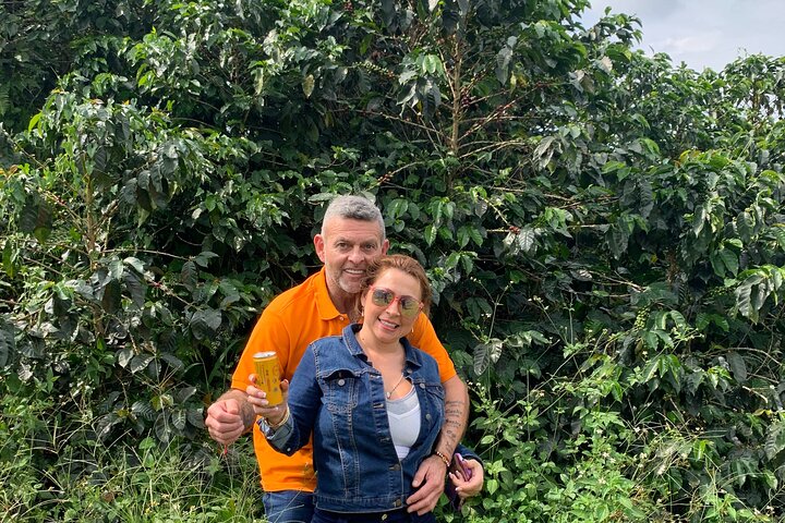 Coffee Farm and Santa Rosa Hot Springs Tour from Pereira or Armenia