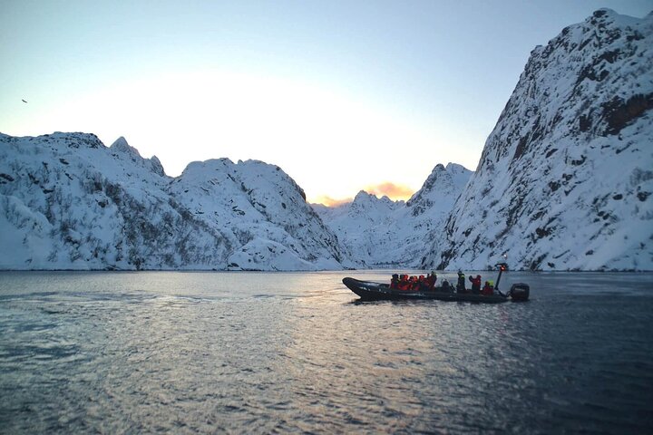 Lofoten RIB Sea Eagle Safari and Trollfjord Cruise