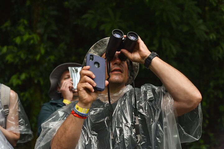 Tropical Rainforest, Hanging Bridges And Jungle Sloths Sanctuary