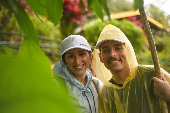 Tropical Rainforest, Hanging Bridges And Jungle Sloths Sanctuary