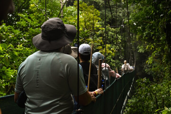 Tropical Rainforest, Hanging Bridges And Jungle Sloths Sanctuary