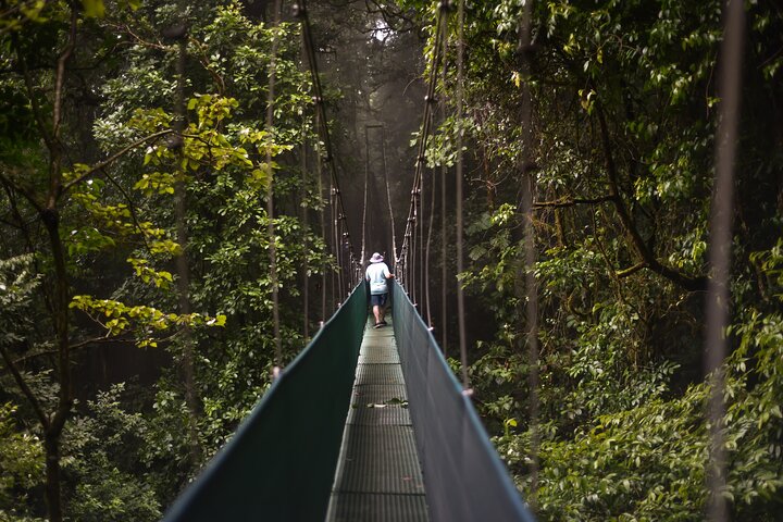 Tropical Rainforest, Hanging Bridges And Jungle Sloths Sanctuary