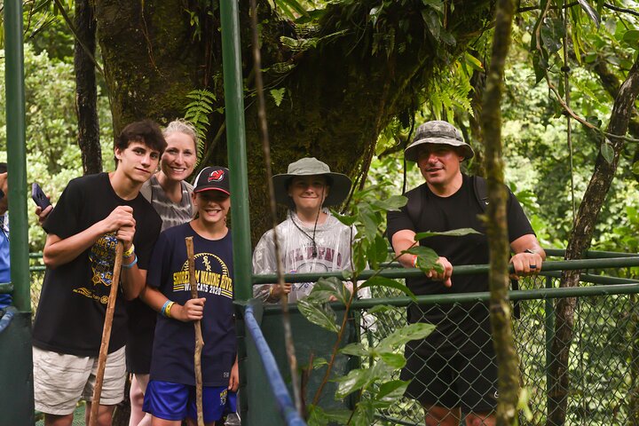 Tropical Rainforest, Hanging Bridges And Jungle Sloths Sanctuary
