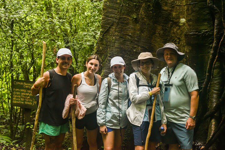Tropical Rainforest, Hanging Bridges And Jungle Sloths Sanctuary