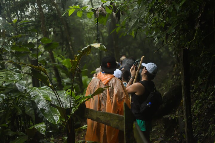 Tropical Rainforest, Hanging Bridges And Jungle Sloths Sanctuary