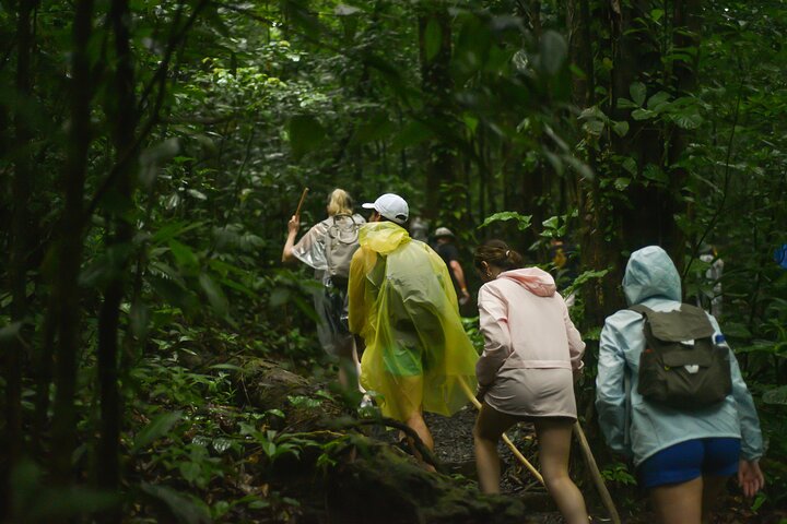 Tropical Rainforest, Hanging Bridges And Jungle Sloths Sanctuary