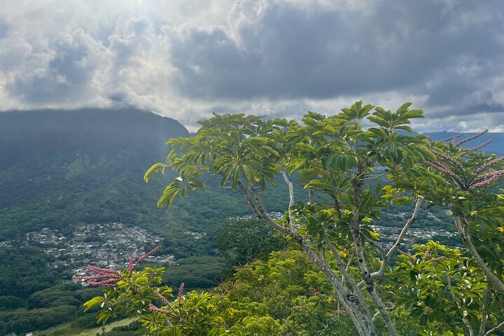 Private Circle Island Tour we build your dream Itinerary