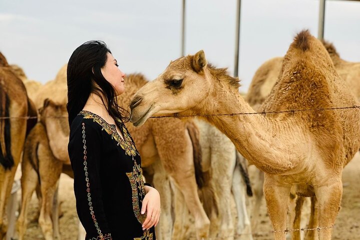 Abu Dhabi Desert Safari With BBQ Dinner & Live Shows